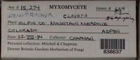 Image Associated With the Occurence
